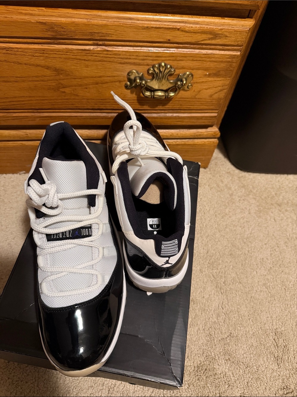 Jordan 11 Concord Low